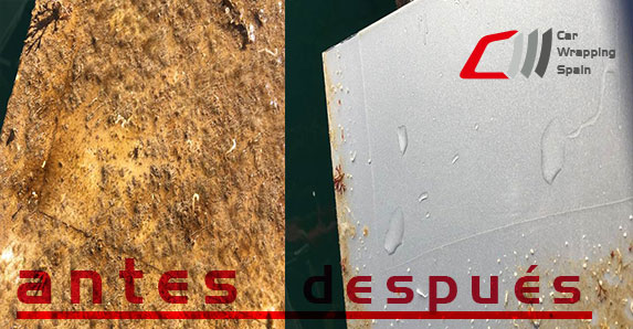 BodyFence embarcación